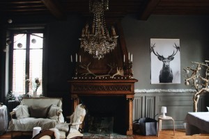 Ce șeminee decorative din lemn masiv se potrivesc într-un living modern?