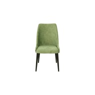 Modern solid wood chair Dining