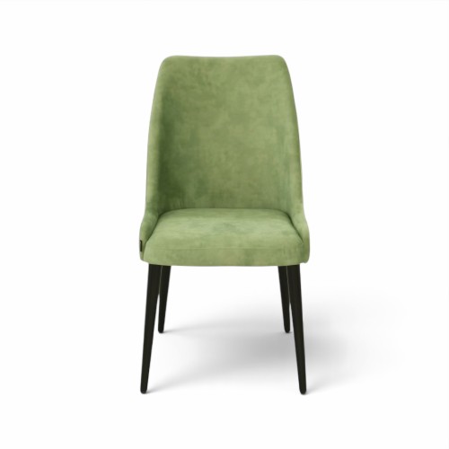 Modern solid wood chair Dining