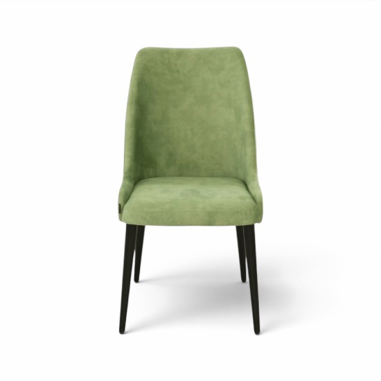 Modern solid wood chair Dining